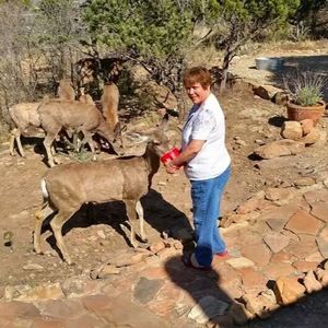 Meet your Posher, Jenny